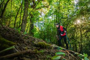 BIB: 
                            <button type="button" onclick="openModal(16015498)" class="btn btn-primary btn-sm float-right btn-popup" data-toggle="modal" data-target=".modal-high-quality">
                        <i class="fas fa-shopping-cart"></i> Add to Cart
                    </button>
                                            <button type="button" onclick="isThisMe(16015498, true)" class="btn btn-success btn-sm float-right btn-popup btn-isme hidden" data-toggle="tooltip" data-placement="bottom" title="นี่คือรูปของคุณใช่ไหม คลิกที่นี่เพื่อเอาเข้าอัลบั้ม">
                        <i class="fas fa-plus"></i> Add to album
                    </button>
                    <button type="button" onclick="isThisMe(16015498, false)" class="btn btn-warning btn-sm float-right btn-popup btn-isnotme hidden">
                        <i class="fas fa-ban"></i> Remove from album
                    </button>